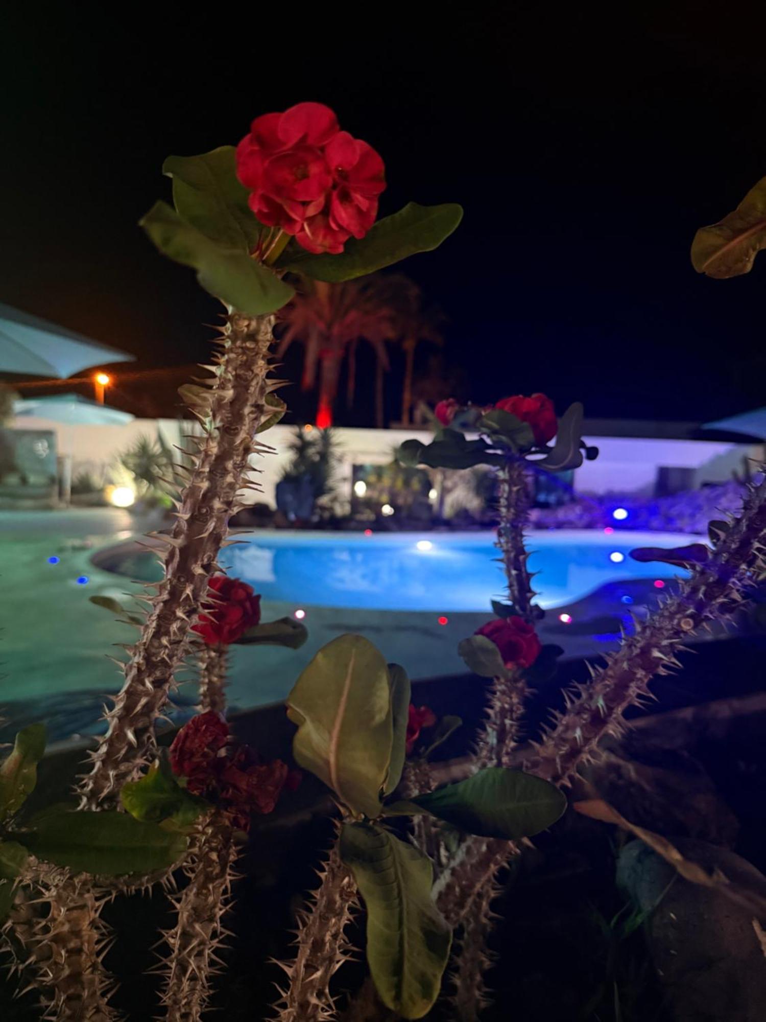 Paraiso Villas Playa Paraiso  Bagian luar foto